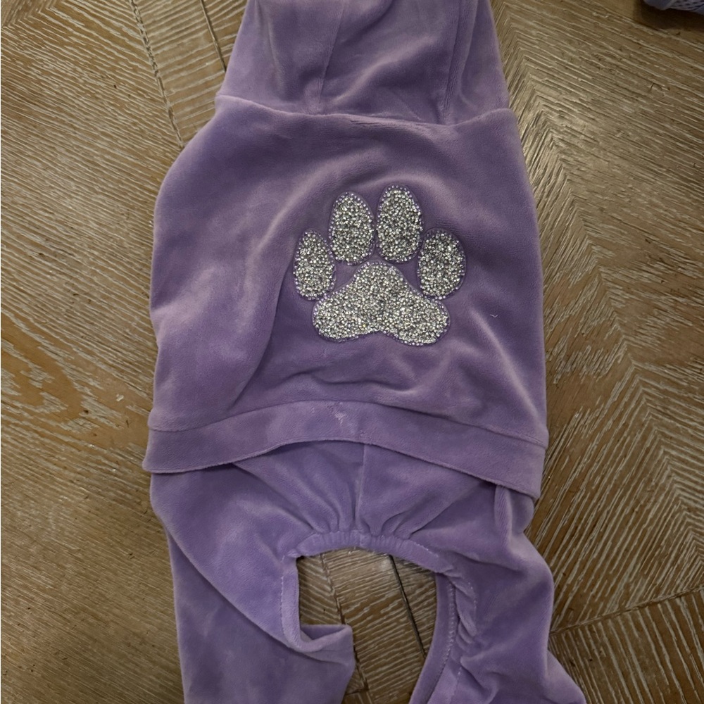 Purple Dog Hoodie with Silver Paw Print